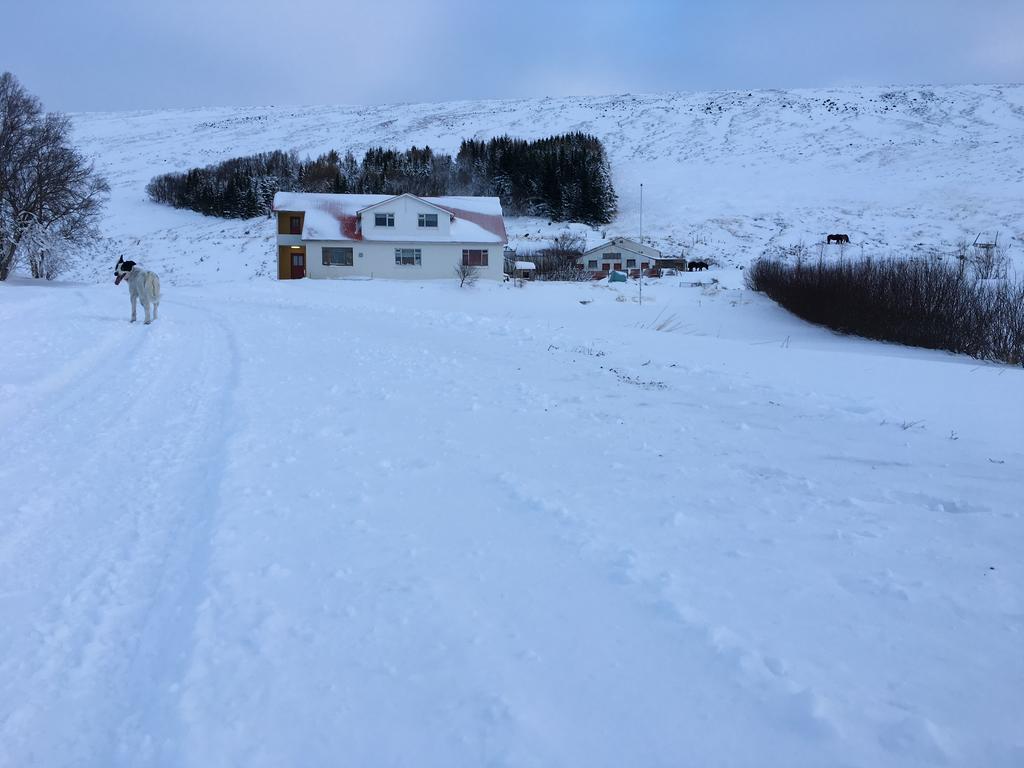 Oendolfsstathir Farm B&B Laugar  Exterior foto